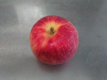 リンゴ サイダー