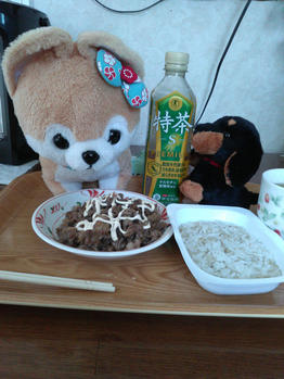 焼肉　ダイエット